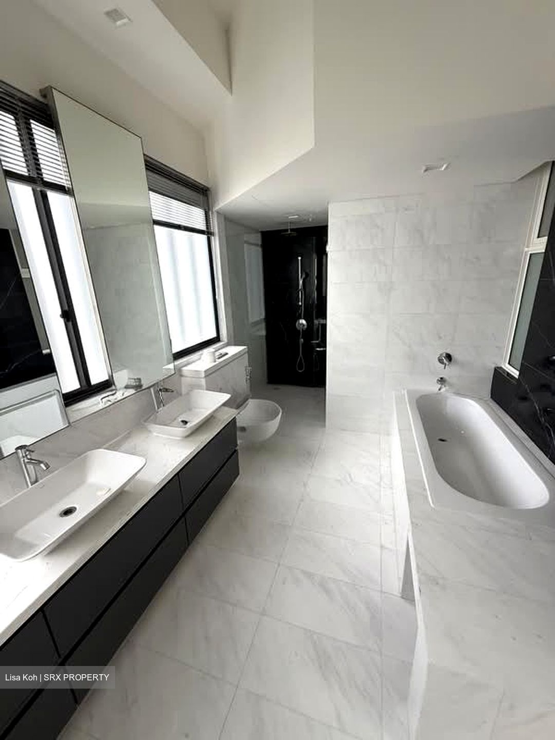 Charlton Park (D19), Condominium #557242681
